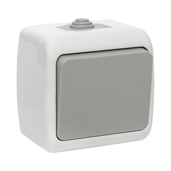 Мурманск Выключатель 1-кл. 10А IP54 сер. EKF