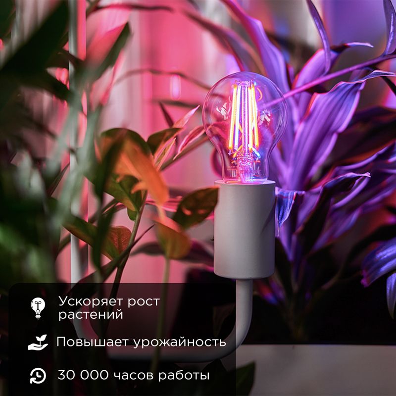 Лампа филаментная для растений Груша A60 11,5Вт 18 микромоль/с E27 REXANT - Фото 2
