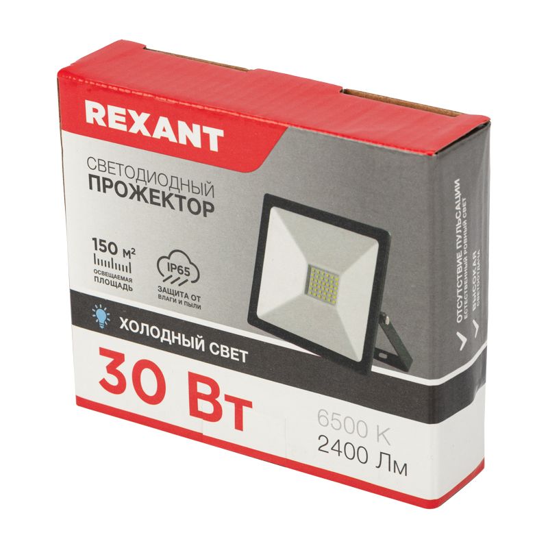 Прожектор светодиодный 30 Вт 200–260 В IP65 2400 Лм 6500 K, холодный свет REXANT + опора на грунте 605-100 - Фото 3