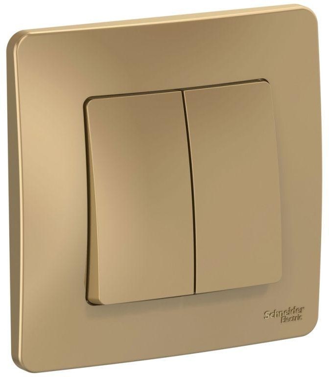 Выключатель 2-кл. СП Blanca 10А IP20 (сх. 5) 250В титан SE BLNVS010504