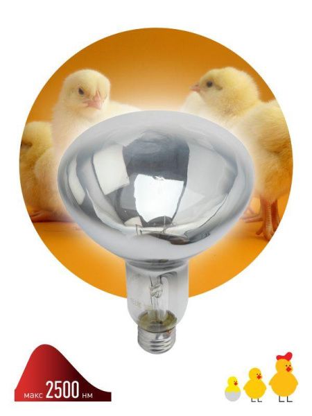 Лампа инфракрасная ИКЗ 220-250 R127 E27 ЭРА Б0042991