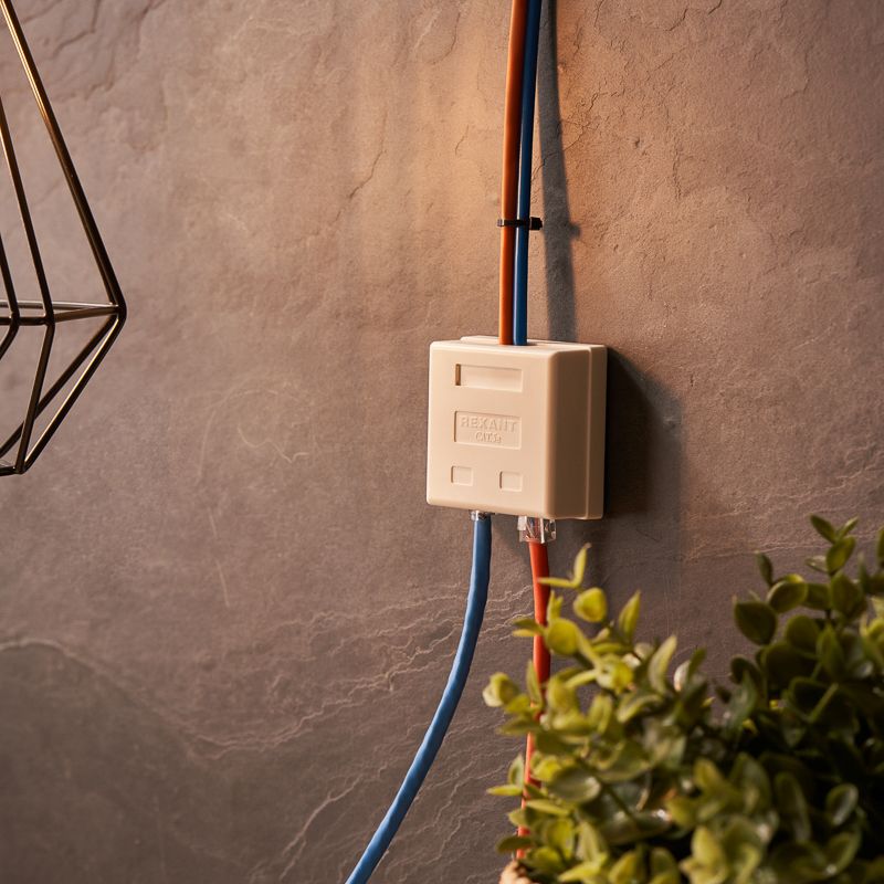 Розетка телефонная + сетевая LAN, на стену, (гнездо 8Р8С (RJ-45) + гнездо 6Р4С (RJ-11)) REXANT - Фото 2