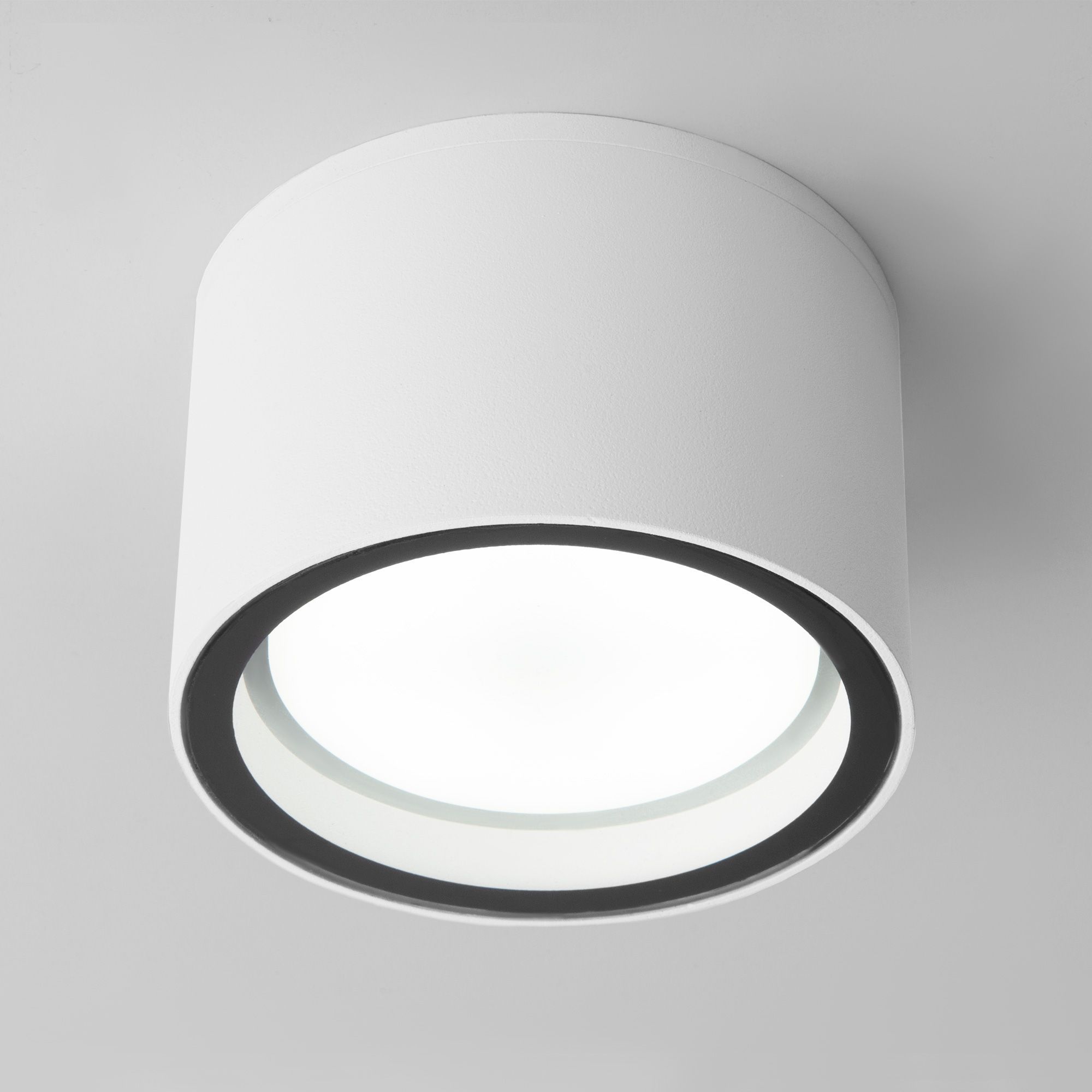 Светильник уличный потолочный Light 26231 IP54 35144/H белый Elektrostandard