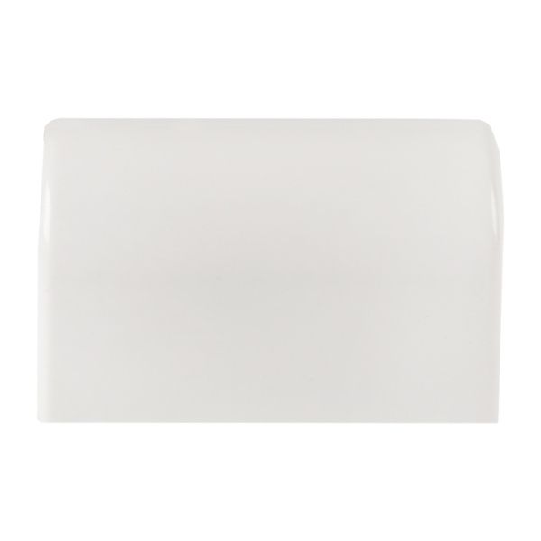 Заглушка (100х40) (2 шт) белая EKF-Plast