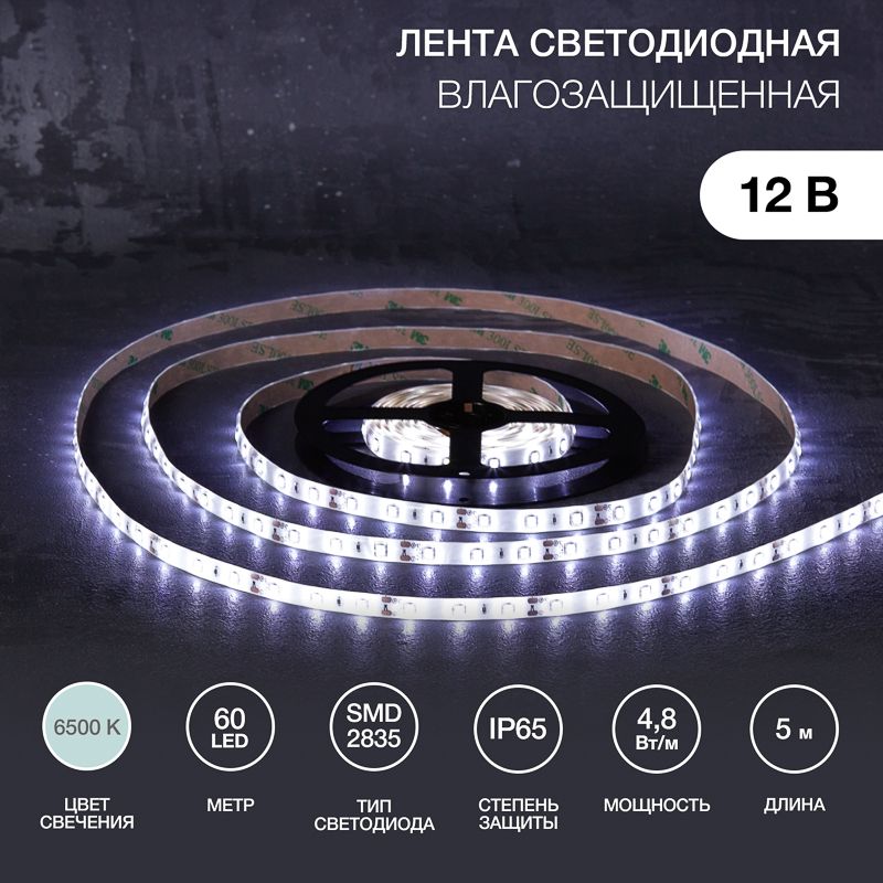 Лента светодиодная 12В, SMD2835, 4,8Вт/м, 60 LED/м, 6500К, 8мм, 5м, для БП с клеммами, IP65 LAMPER