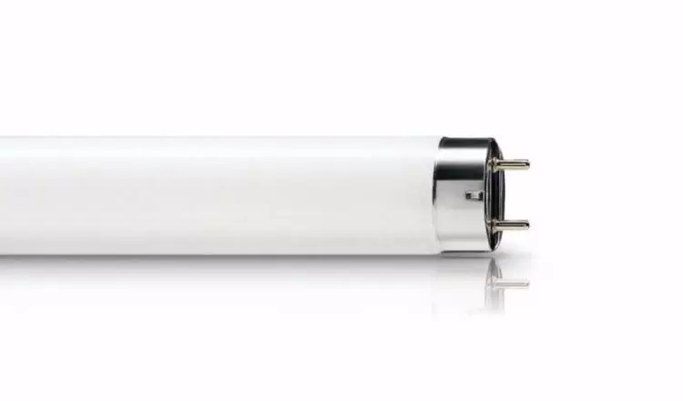 Люминесцентная линейная лампа ЛТ 18W/765 G13 d26x590mm 1050Лм 6500K | 4603768610021 | ФормулаСвета