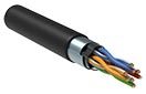 Кабель витая пара F/UTP кат.5e 4х2х24AWG PVC ,(РБ)