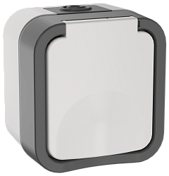 TORS Розетка 1-местная заземляющим контактом и крышкой 16А IP55 TS220 серо-белый IEK TS-R16-16-55-K41