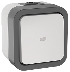 TORS Переключатель одноклавишный с индикацией 10А IP55 TS202 серо-белый IEK TS-V10-1-10-55-K41