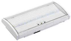 Светильник аварийный ДПА 5040-3 постоянный 3ч IP54 IEK LDPA0-5040-3H-K01