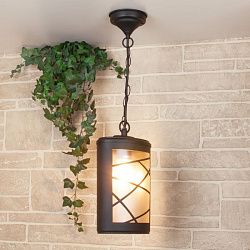 Светильник уличный подвесной IP44 Premier H GL 1017H Elektrostandard a039857