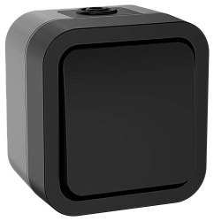 TORS Выключатель двухполюсный одноклавишный 10А IP55 TS111 графит IEK TS-V16-0-10-55-K53