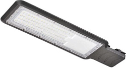 Светильник уличный светодиодный консольный ДКУ ECO 8010  50W IP66 LL8010-50W