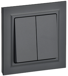 BRITE Выключатель 2-клавишный 10А в сборе ВСР10-2-0-БрГ графит IEK BR-V20-0-10-K53-F