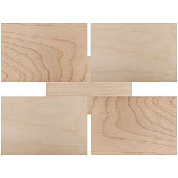 Доски для выжигания «Набор творческий» (без рисунка), 148х210мм (А5), 5 шт., пакет REXANT 12-0940