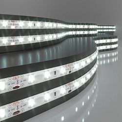Лента светодиодная 24V 4,8W 60Led 2835 IP65 холодный белый, 5м Elektrostandard a052958