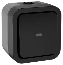 TORS Переключатель одноклавишный с индикацией 10А IP55 TS102 графит IEK TS-V10-1-10-55-K53