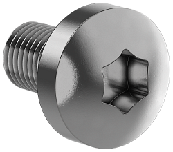 FORMAT Винт М6х10 самонарезающий полукруглая головка шестирадиусный шлиц TORX30 DIN 7500С (50шт/упак) IEK FO-00D-VTORX-M6X10-050