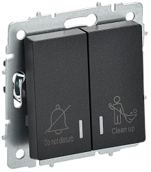 BRITE Выключатель 2-клавишный с индикацией для отелей 10А ВС10-2-9-БрЧ черный IEK BR-V20-2-10-K02