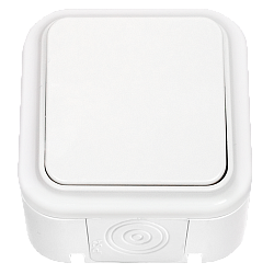 Выключатель одноклавишный брызгозащищенный открытой установки А1 6-222 8636BY