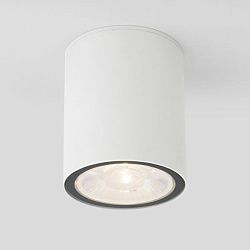 Светильник уличный потолочный Light LED 2103 IP65 35131/H белый Elektrostandard a056230