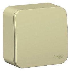 Выключатель 1-кл. ОП Blanca 10А (сх.1) с самовозвратом с изолир. пластиной беж. SE BLNCA101017 520065