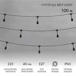 Belt-Light  2 жилы  шаг 40 см  подвесные патроны E27 влагостойкая IP65 331-231