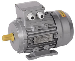 Электродвигатель асинхронный трехфазный АИС 80B8 380В 0,25кВт 750об/мин 1081 DRIVE IEK AIS080-B8-000-3-0710