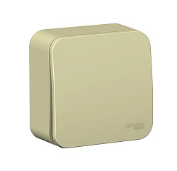 Выключатель 1-кл. ОП Blanca 10А IP20 (сх. 1) 250В с изолир. пластиной беж. SE BLNVA101017 520093