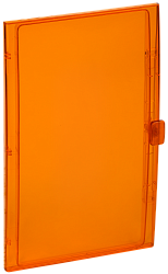 TEKFOR Дверца для корпуса пластикового КМПн-36 IP65 оранжевая прозрачная IEK TF-KP72D-DV-36-K09