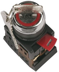 Переключатель АKS-22 на 2 положения "I-O" 1з+1р с ключом черный IEK BSW10-AKS-2-K02