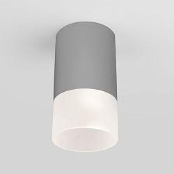 Светильник уличный потолочный Light LED 2106 IP54 35139/H серый Elektrostandard a057158