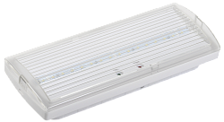 Светильник аварийный ДПА 5030-1 постоянный 1ч IP20 IEK LDPA0-5030-1H-K01