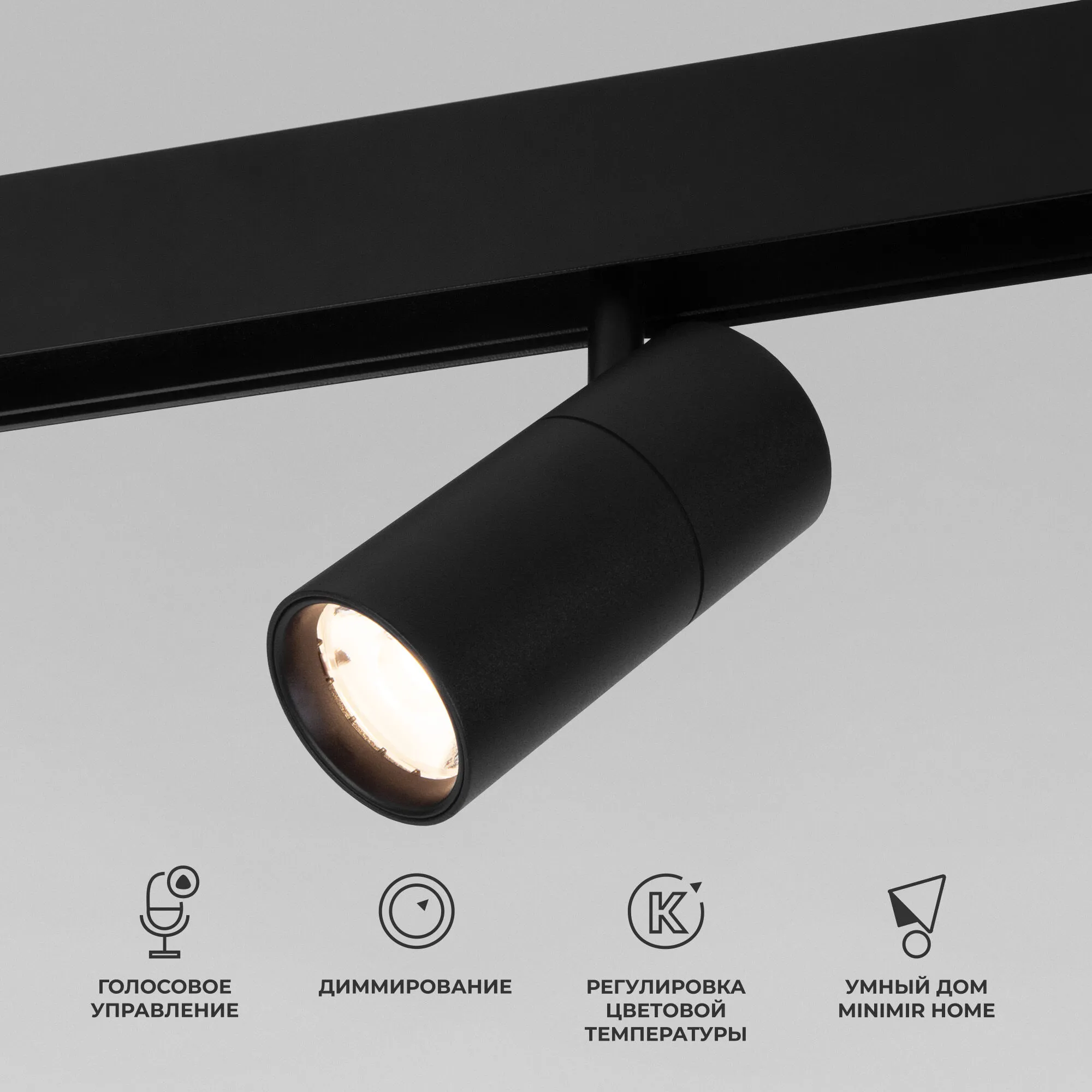 Slim Magnetic Умный трековый светильник 6W 2700-6500K Dim R01 (чёрный) 85074/01 Elektrostandard